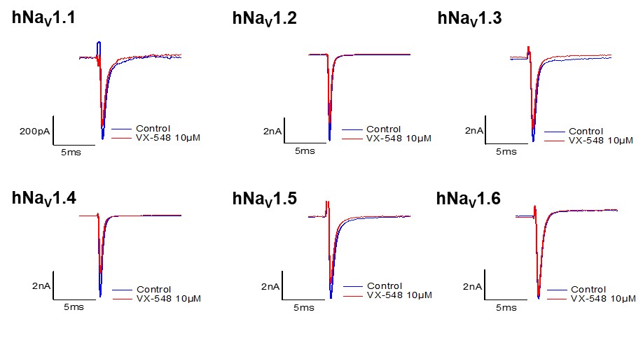 nav1.84.jpg