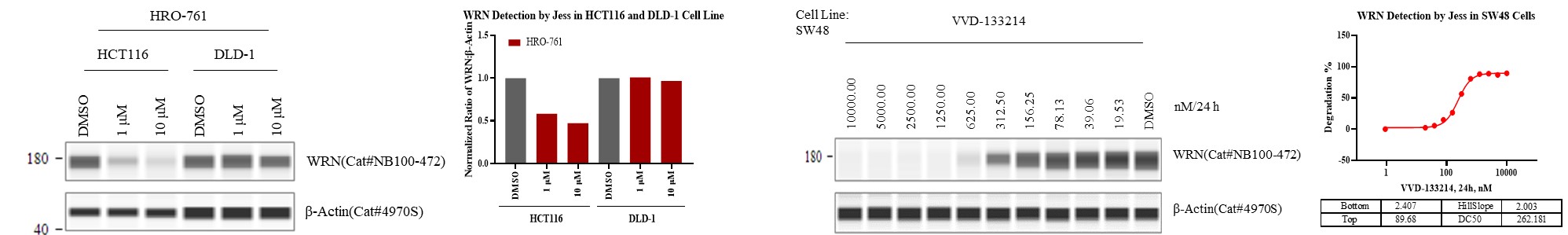 WRNpro.jpg