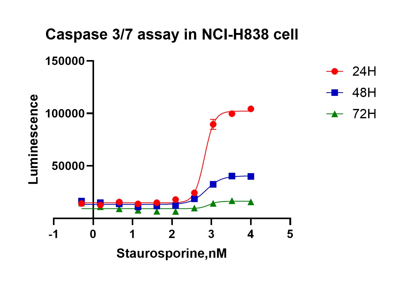 caspase.jpg