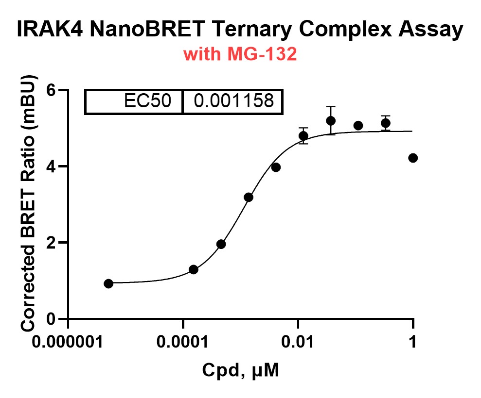 nanotcf.jpg