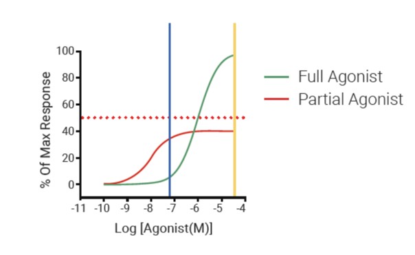Full vs Partial Agonist