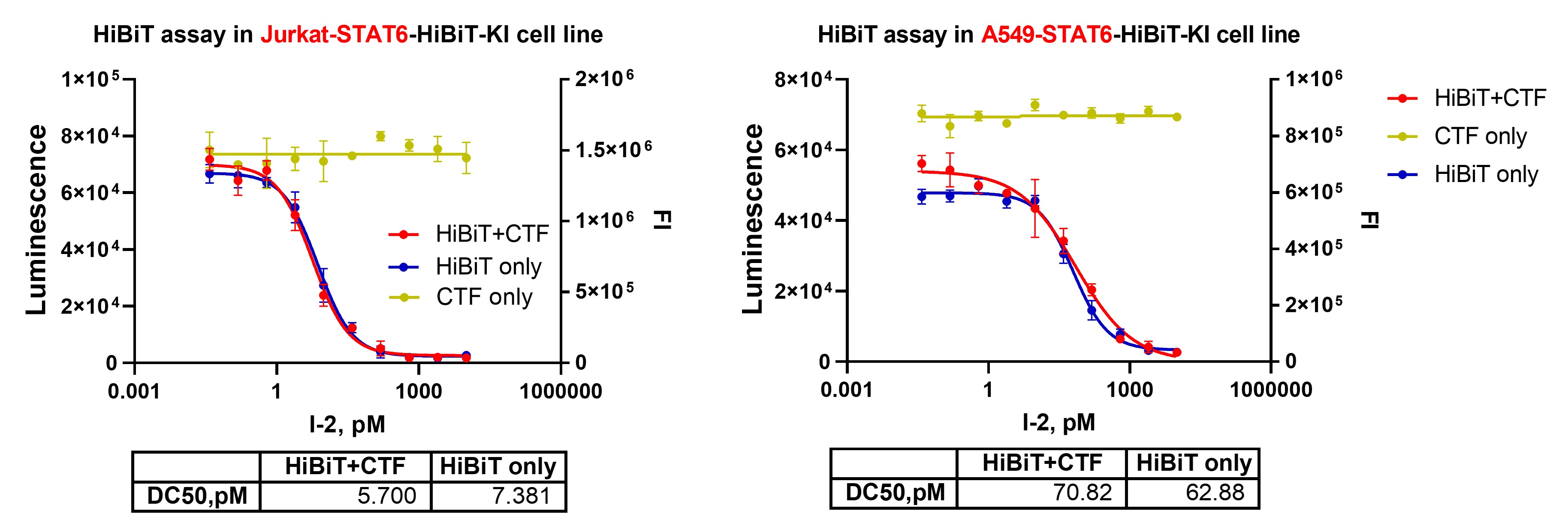 STAT6 Hibit assay.jpg