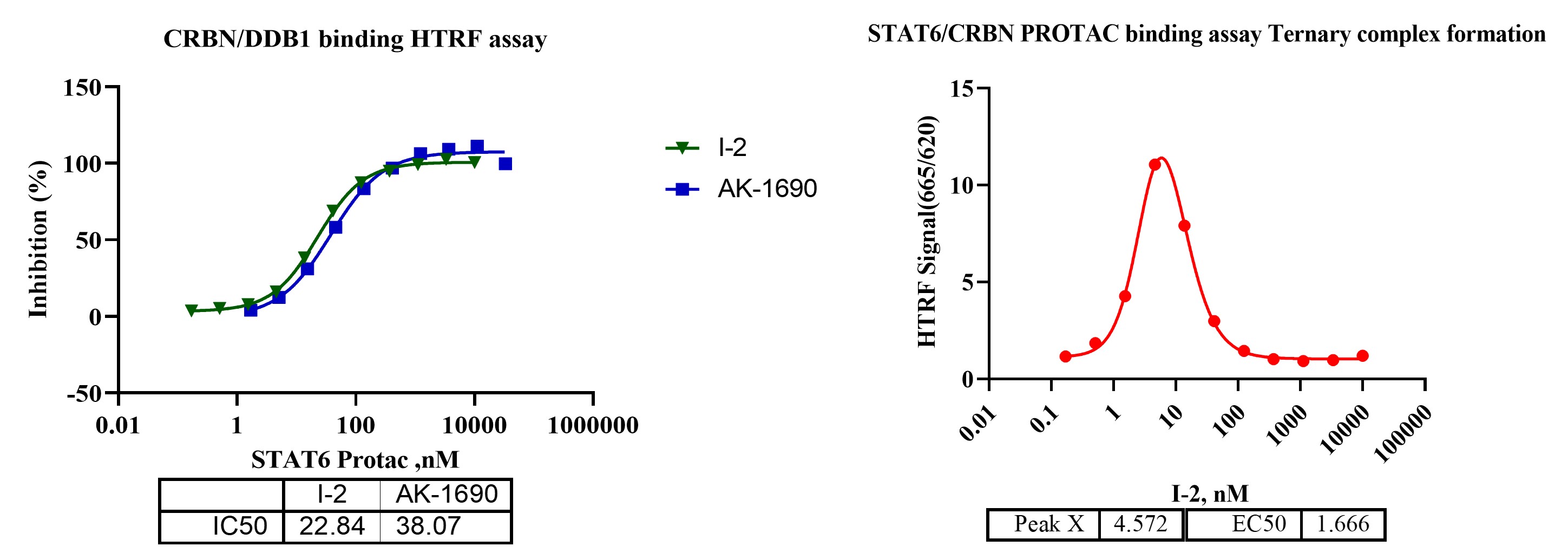 stat6 complex formation.jpg