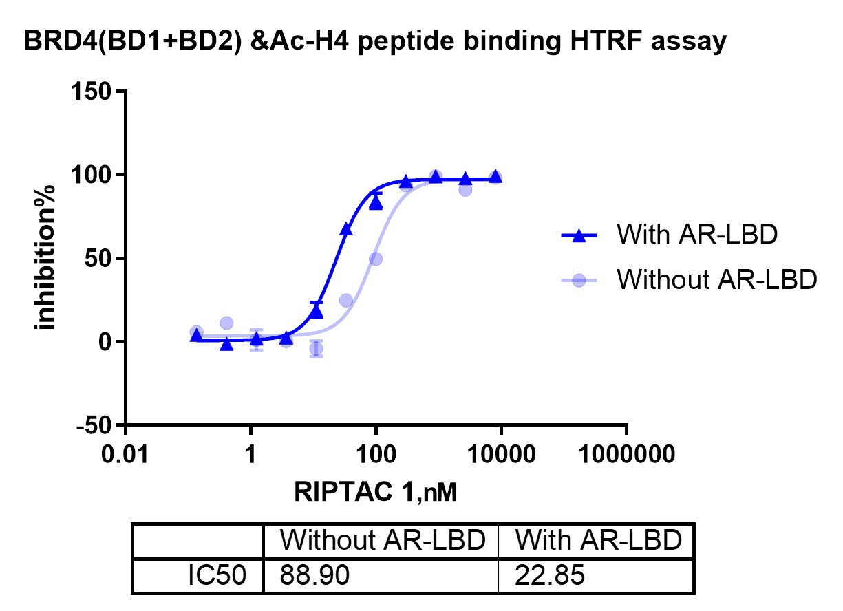 Biochemical Functional Assay