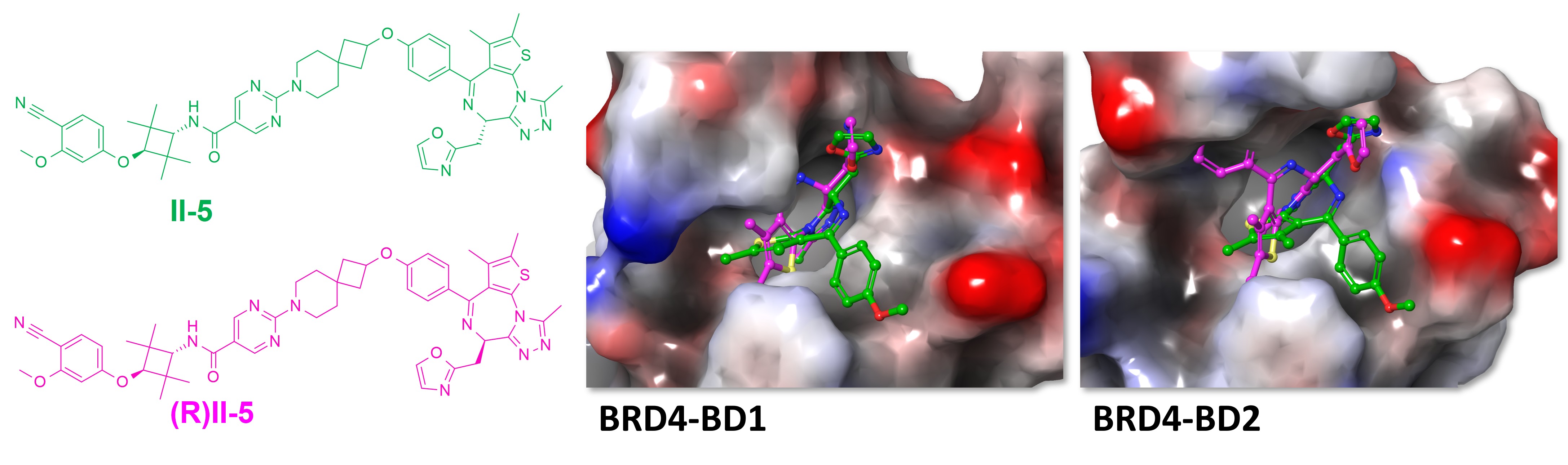 Docking Poses of Two Isomers of II-5