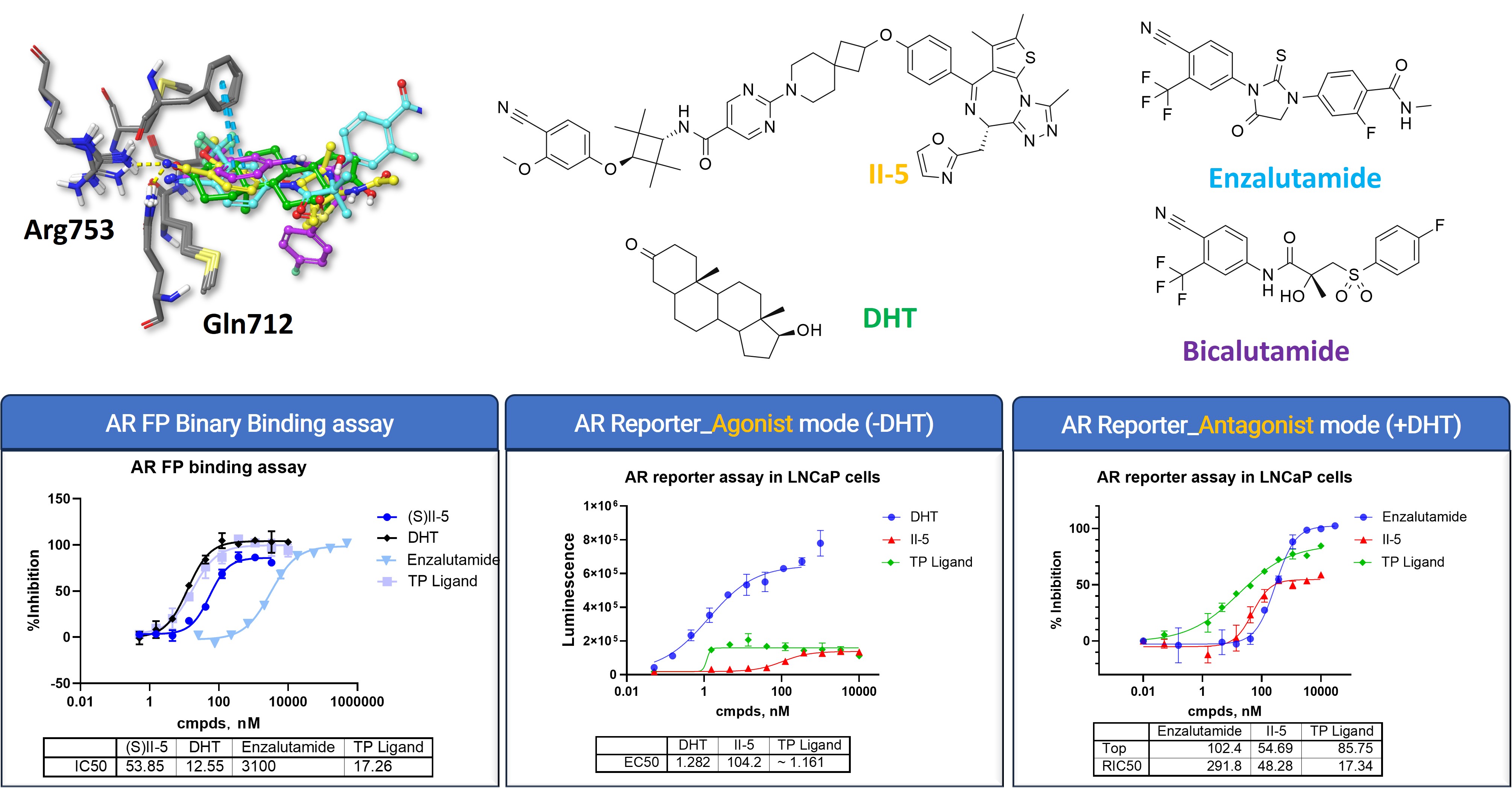 AR binding and reporter data for II-5