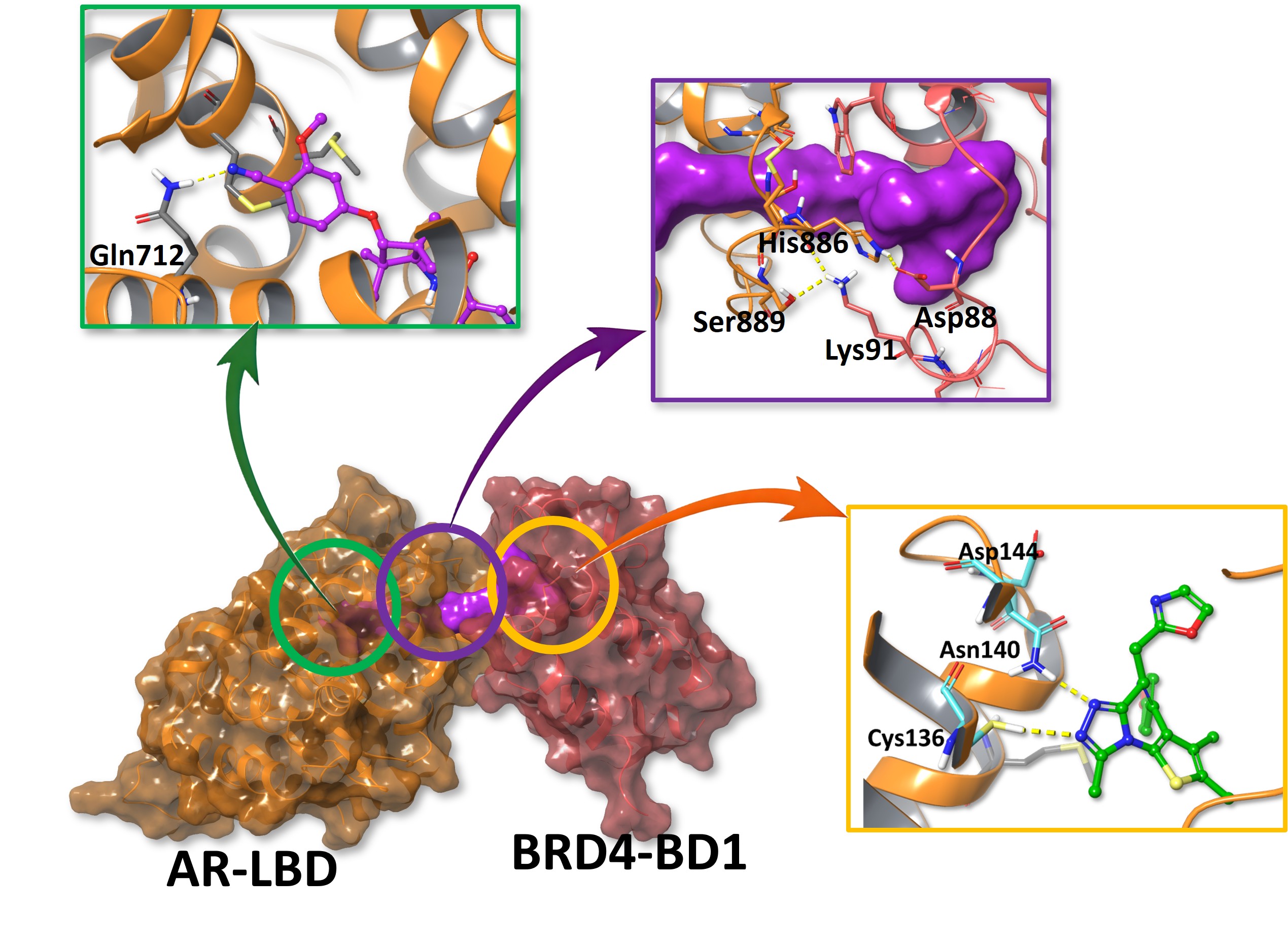 Preferred ternary complex model and neoPPI hypothesis