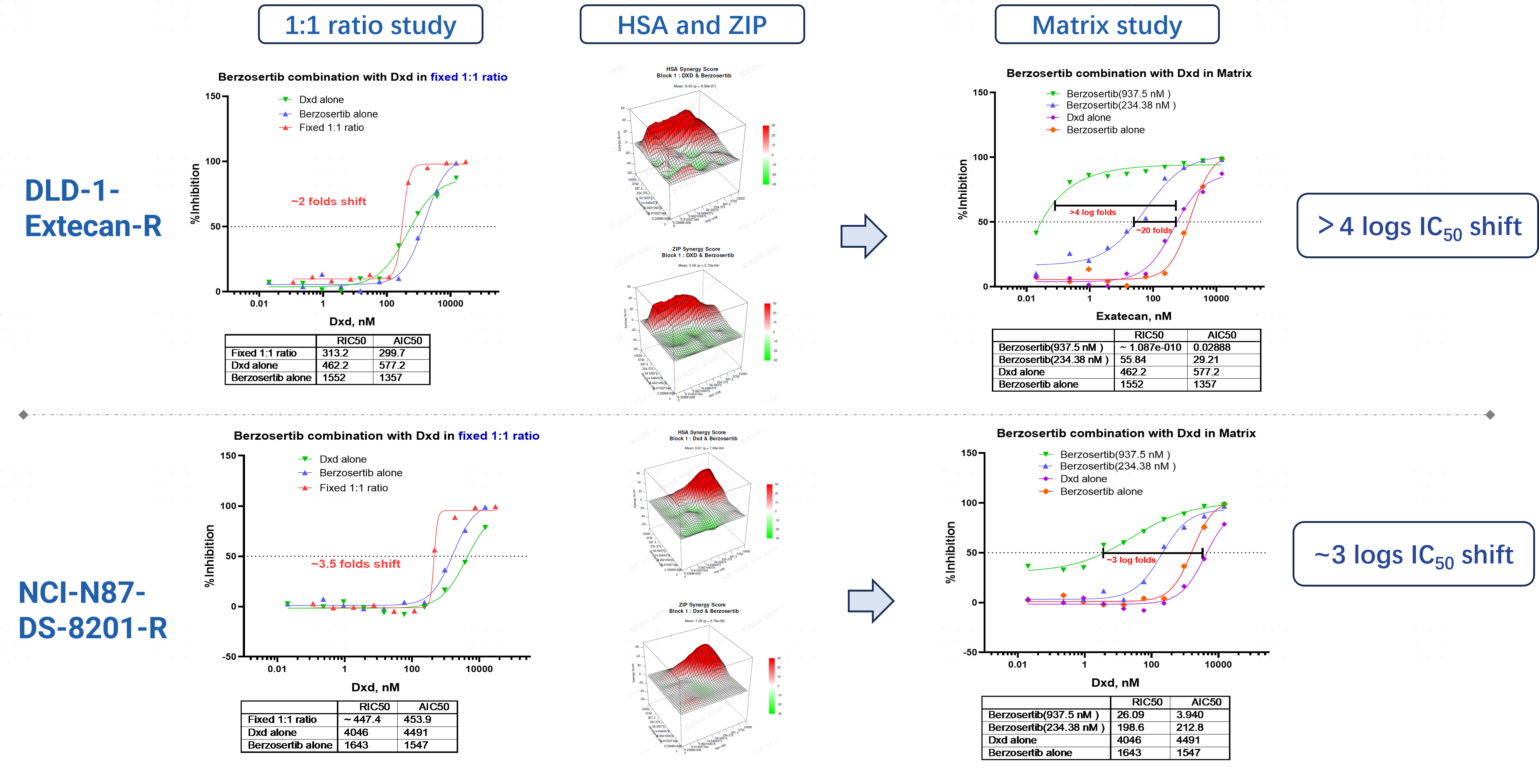 Berzosertib + Dxd combination screening
