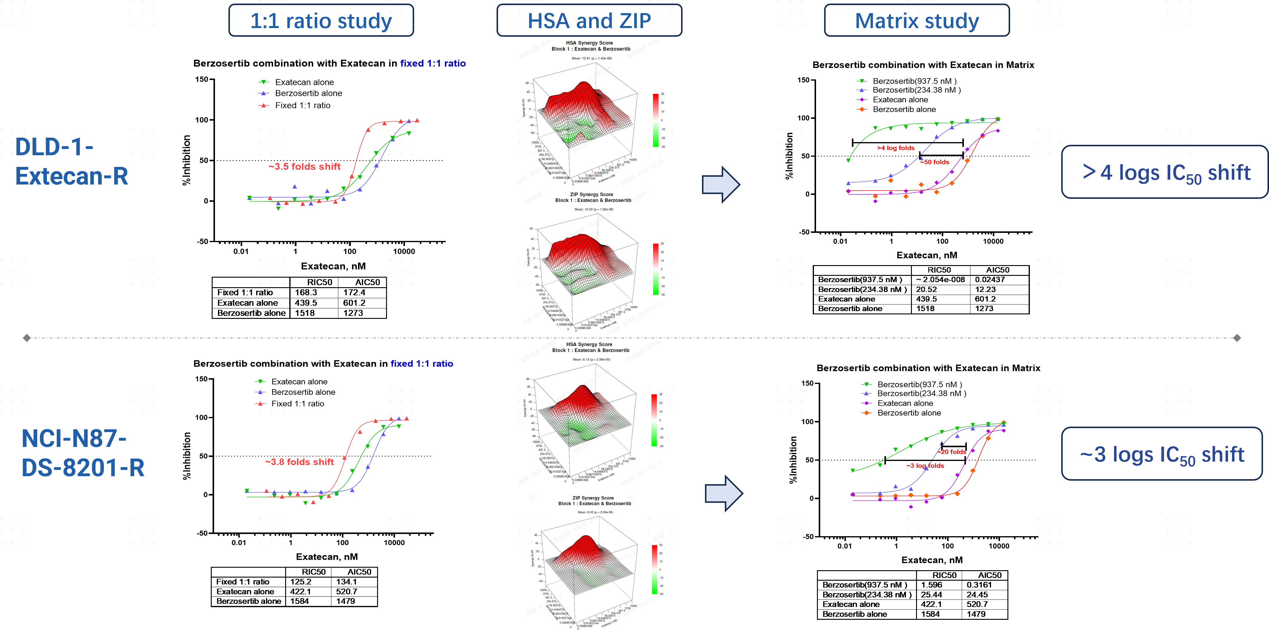 Berzosertib + Exatecan combination screening