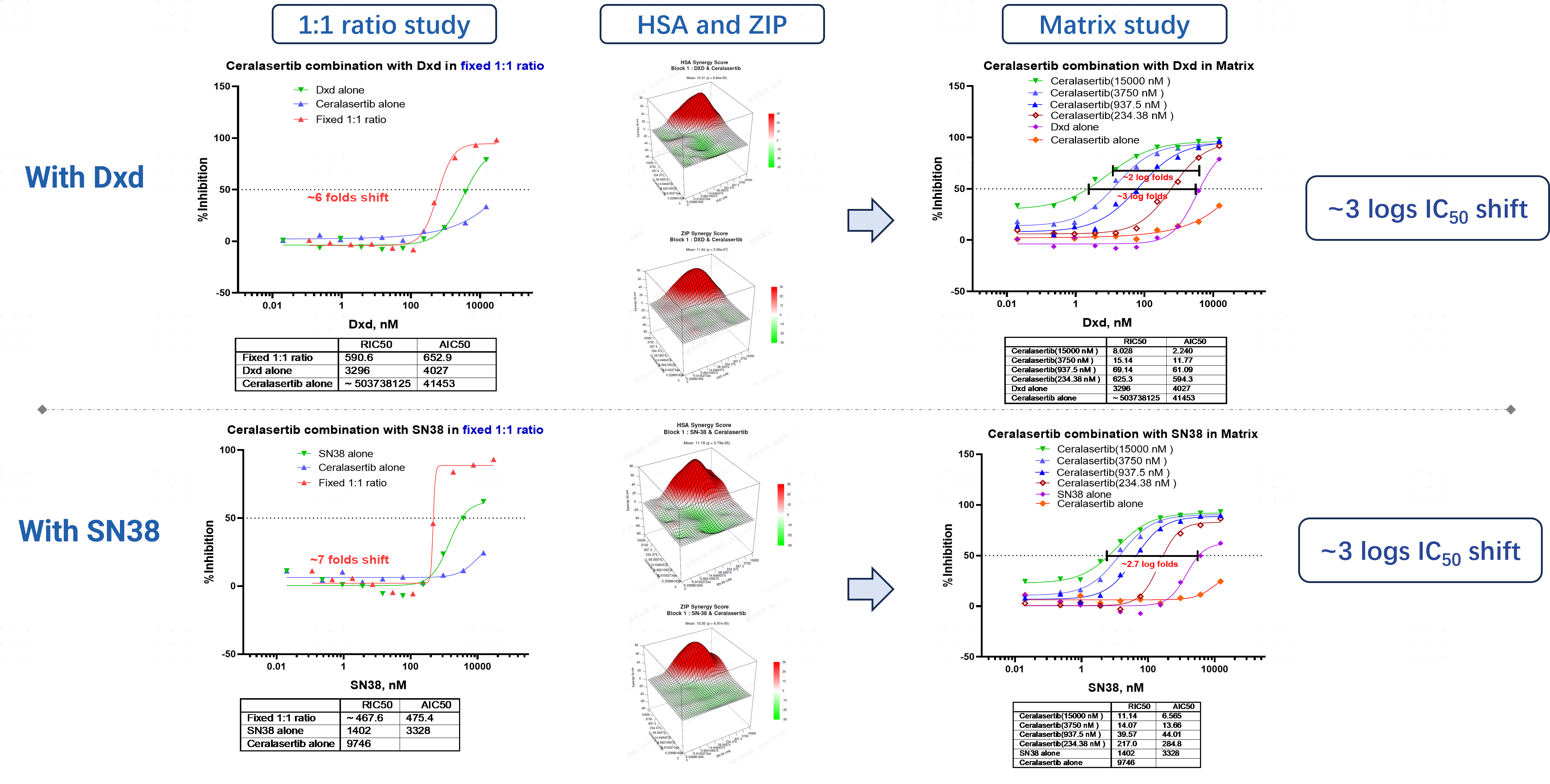 Ceralasertib combination screening