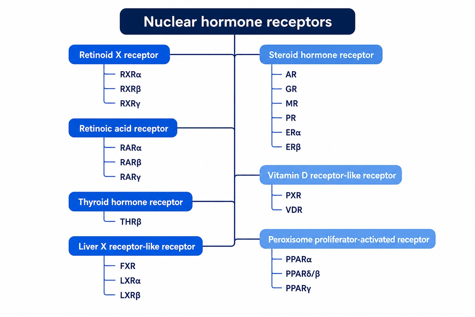 Nuclear hormone receptor classification