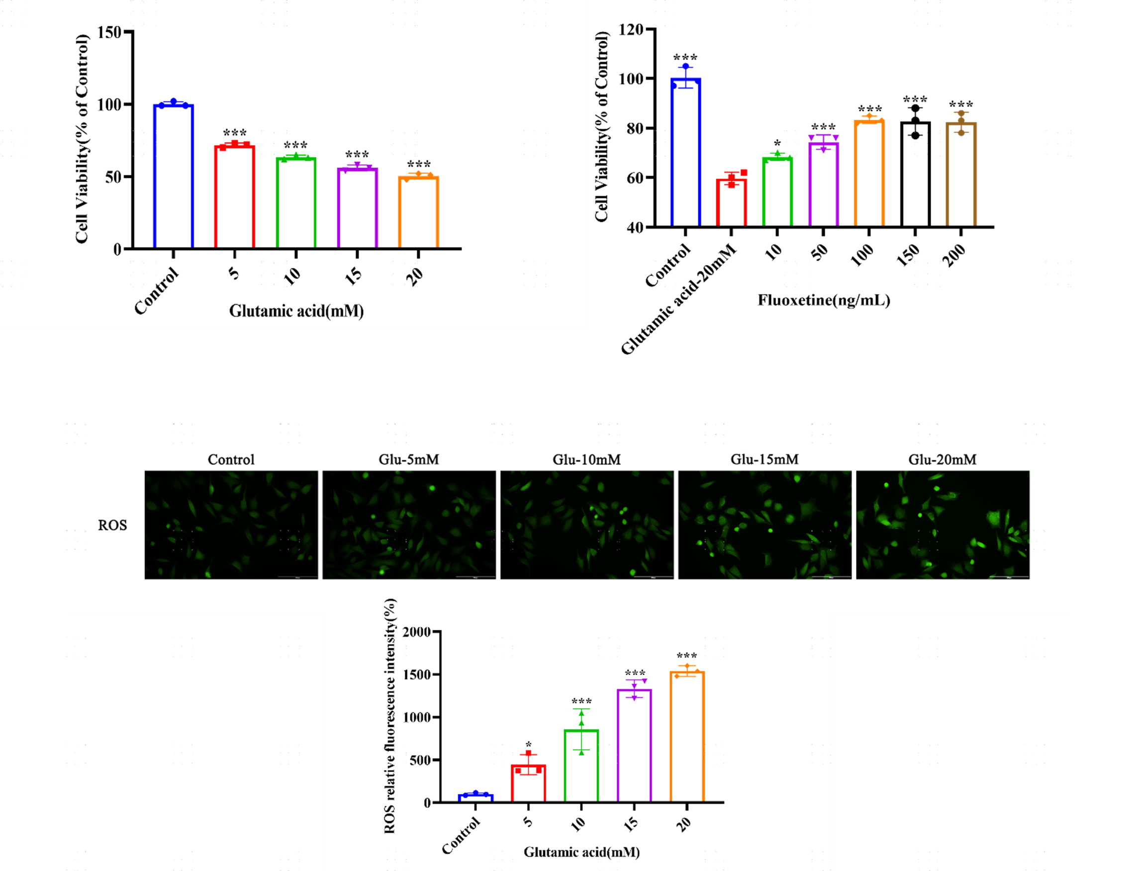 Glutamate-induced SH-SY5Y cell viability and ROS detection