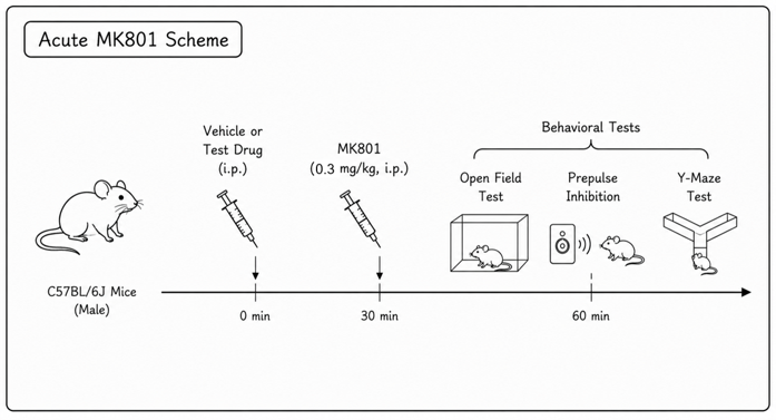 Experimental flow design of acute MK-801 mouse model