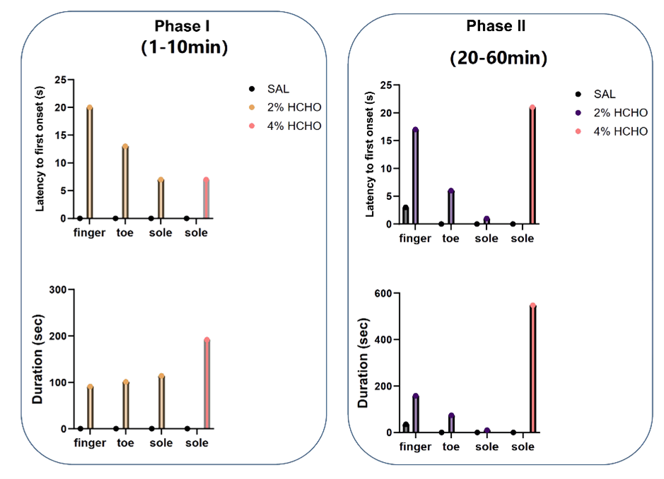 Formalin-induced biphasic pain response in NHPs
