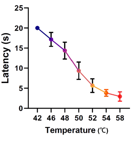 Thermal stimulus temperature optimization