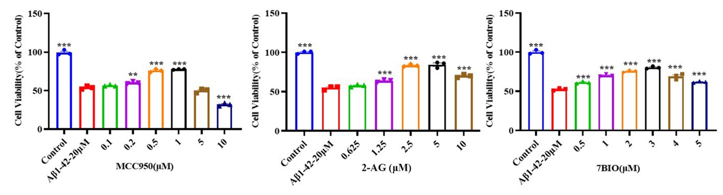 Pharmacological validation of Aβ1-42 model with MCC950, 2-AG, and 7-BIO