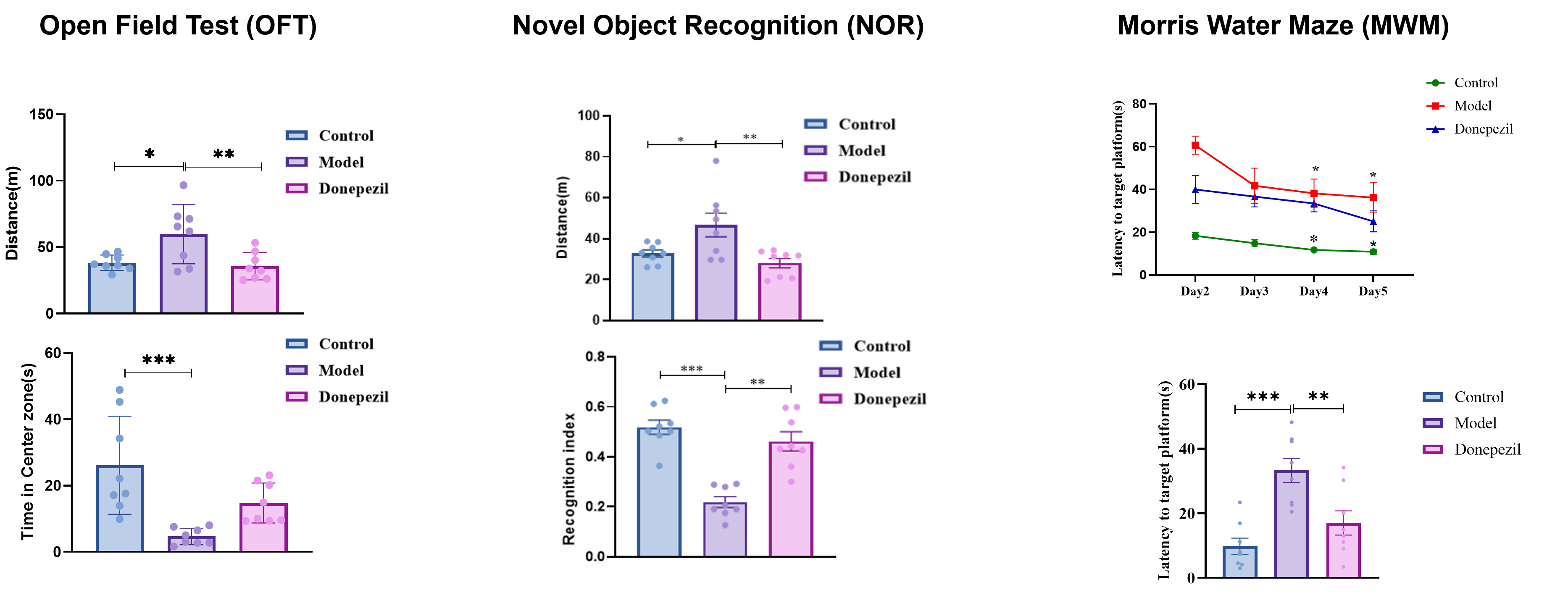 Behavioral characterization of STZ-induced rat model