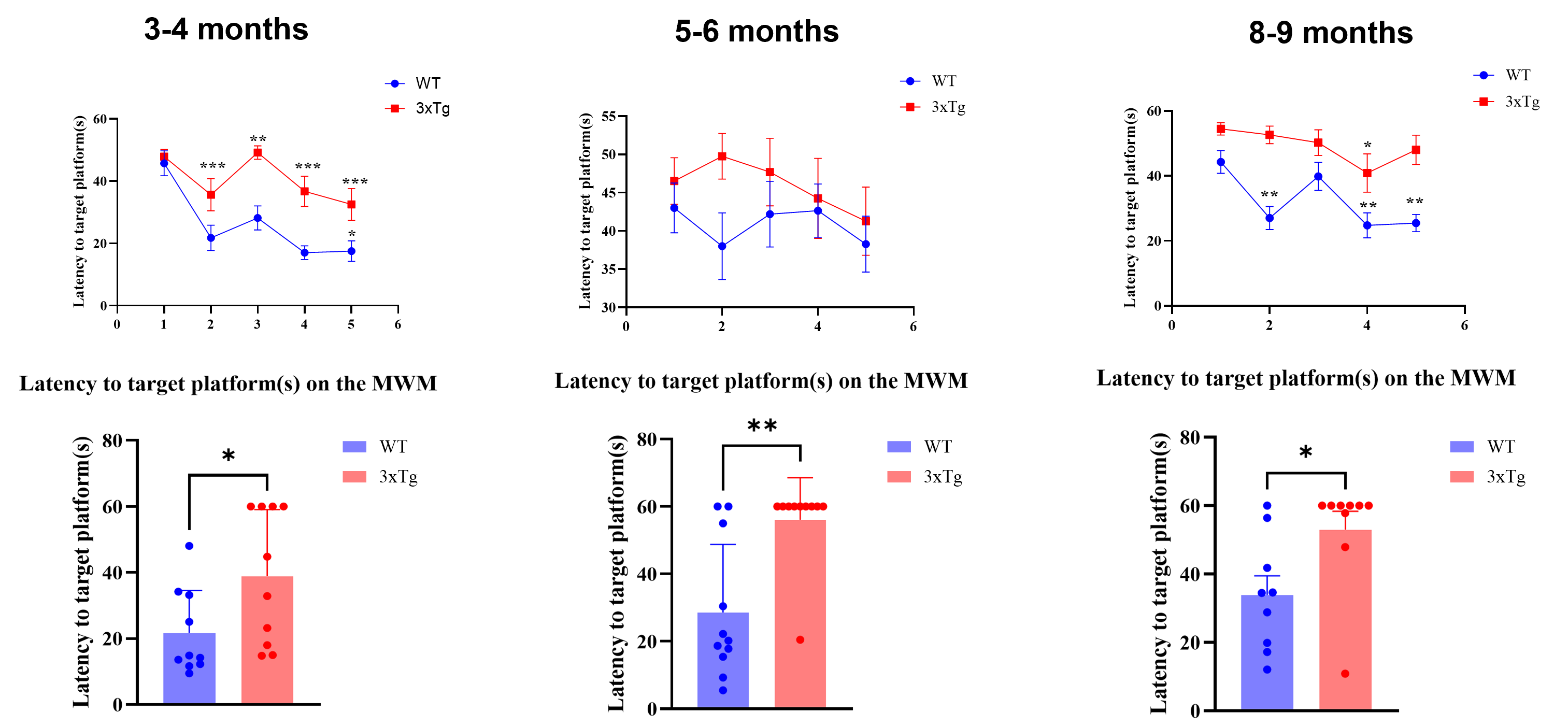 Behavioral characterization of 3xTg-AD mouse model