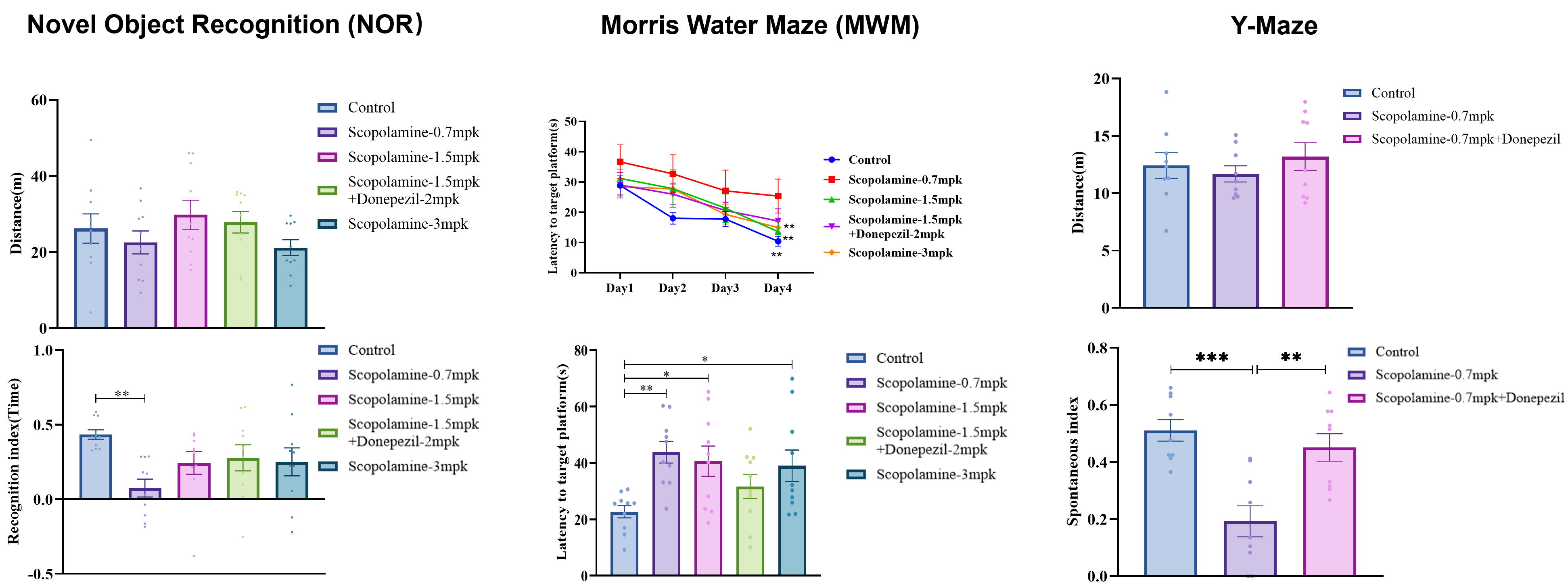 Behavioral characterization of scopolamine-induced rat model
