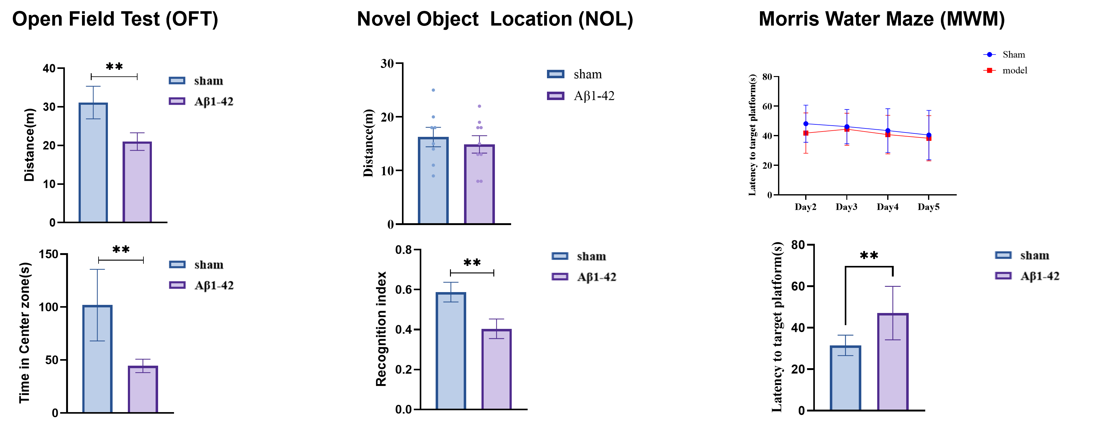 Behavioral characterization of Aβ1-42-induced mouse model