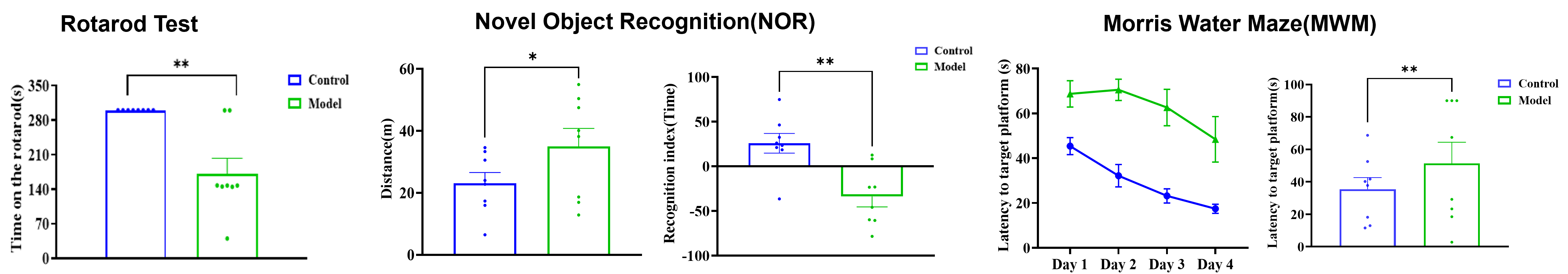 Chronic behavioral characterization of pMCAO rat model