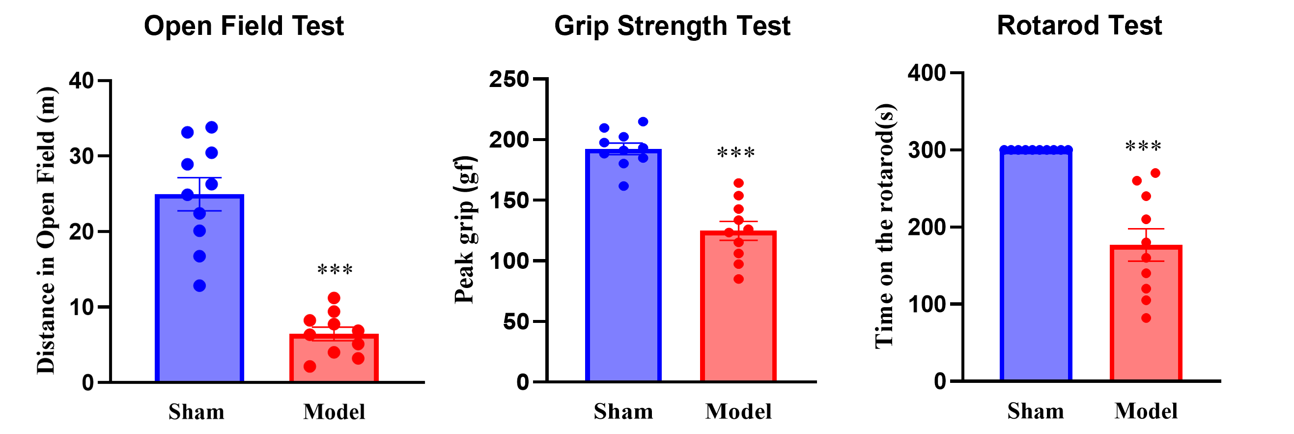 Behavioral characterization of the PFF-induced mouse model