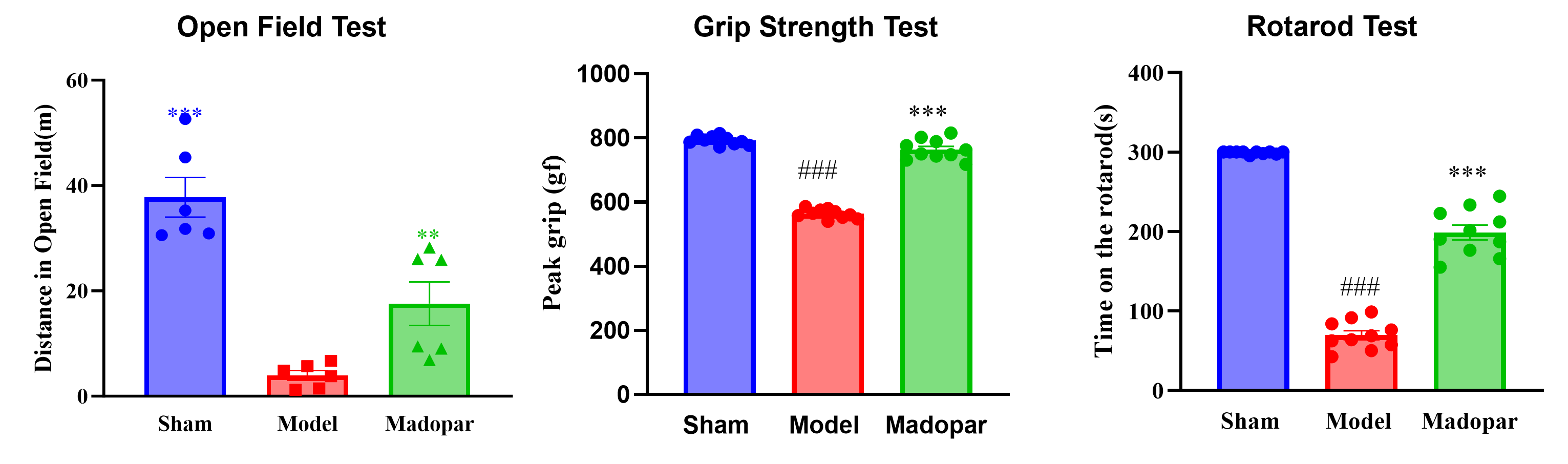 Behavioral characterization of the 6-OHDA-induced rat model