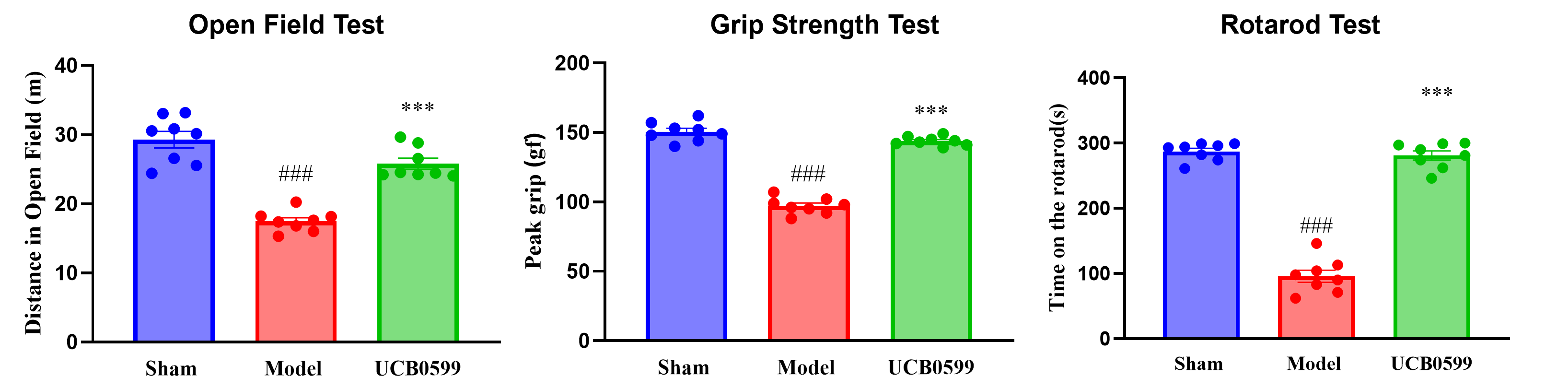 Behavioral characterization of the AAV-α-Syn mouse model